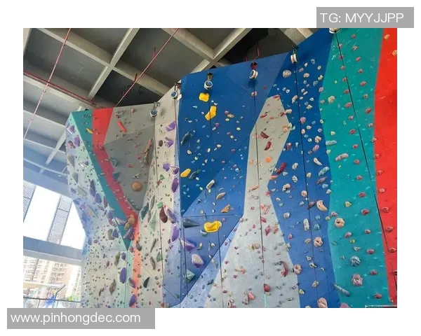 广州攀岩队速度革命的背后：热议攀岩运动的未来与挑战