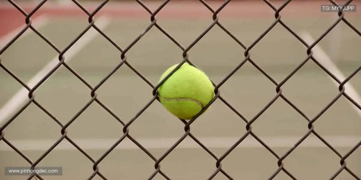 📸 赛场瞬间，定格成你专属的热血记忆！📚
